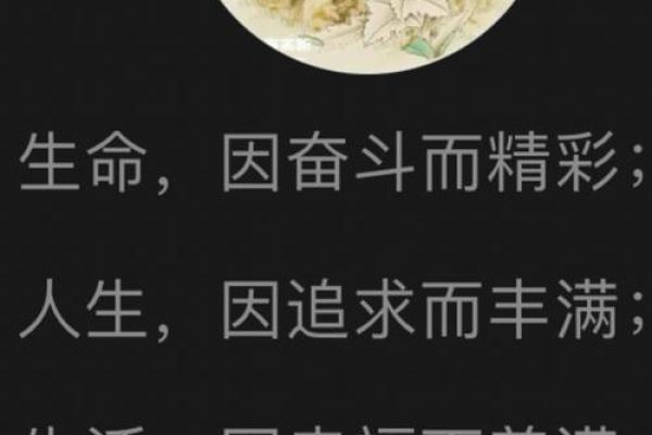 人生的命运:在时光中雕刻每一个精彩瞬间 人生的命运:在时光中雕刻每一个精彩瞬间