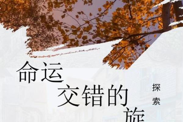 三十岁的命运：探索她们的生命旅程与未来可能