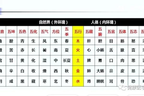 如何让五行水命的家庭平衡属性，提升居住环境的能量