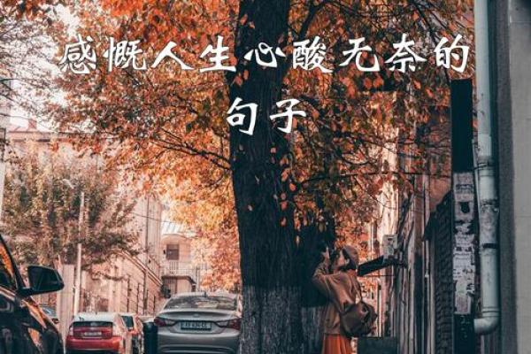 命数如何？探寻那些无法被算尽的人生轨迹