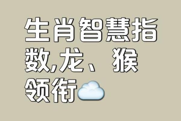 生肖龙的阴阳眼：神秘命运的窥探者