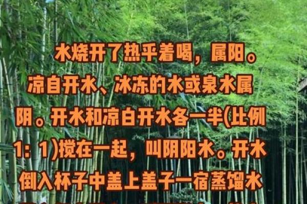 泉中水命的奥秘：揭秘男士的水命特性与人生轨迹