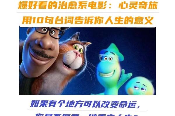 逆天改命，从选择职业开始的心灵之旅