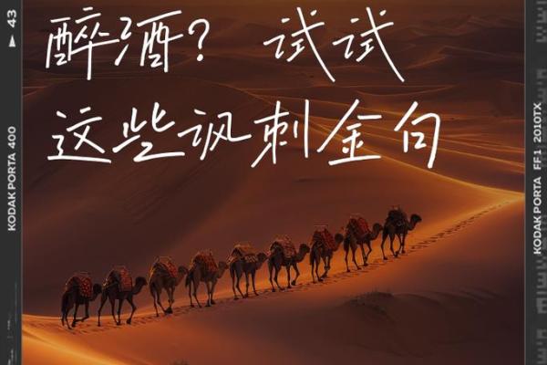 嗜酒如命,她让酒杯中的人生更加精彩——解读生肖女的魅力与执着 嗜酒如命,她让酒杯中的人生更加精彩——解读生肖女的魅力与执着