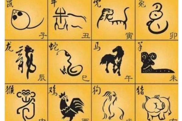 配相贵命贱生肖揭秘:真正的命运在哪里? 配相贵命贱生肖揭秘:真正的命运在哪里?