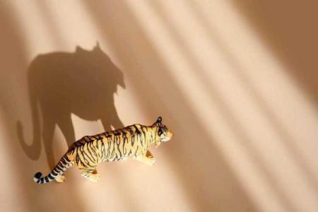 属马家庭为何养兔宝宝命好，解析背后的美好寓意与运势