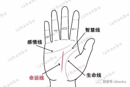 什么是坐轿的命？探讨命运与人生选择的关系