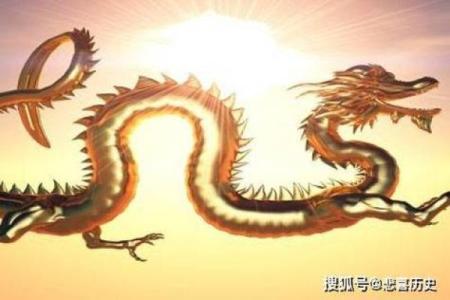 属龙人在5月初九出生，命理分析与人生运势的深刻揭示