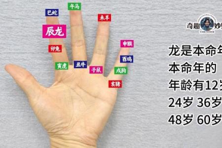 根据属相探讨子女的命运与生育优势