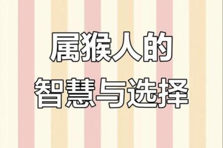 属猴的1981年什么命：智慧与活力并存的人生之旅