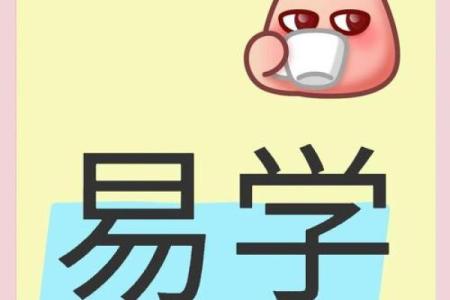 男命丁巳的对象特征：热情、独立与智慧的完美结合