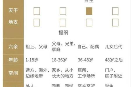 日柱坐正官，揭示命格的深意与人生的方向