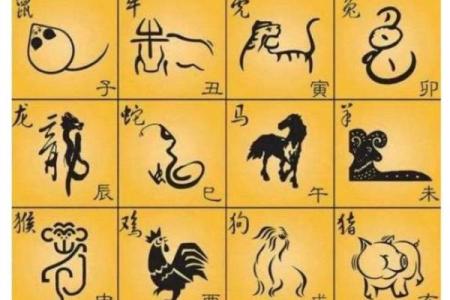 配相贵命贱生肖揭秘：真正的命运在哪里？