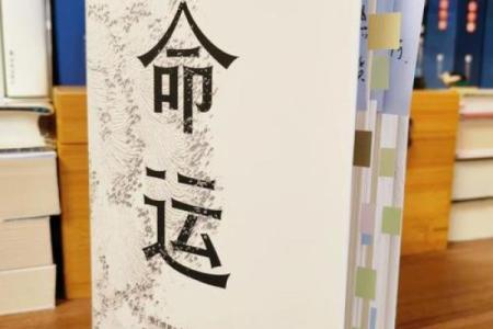 女命干支纯阳：解读女性命运的力量与智慧