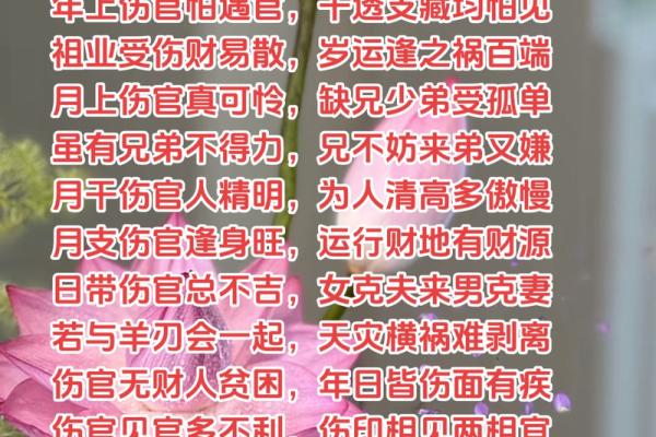 什么是伤官带财女命?探寻命理中的神秘与财富 什么是伤官带财女命?探寻命理中的神秘与财富