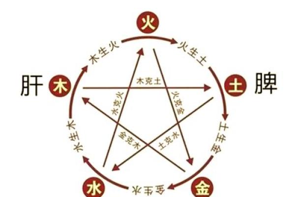 农历八月出生者的五行命理解析与人生智慧 农历八月出生者的五行命理解析与人生智慧