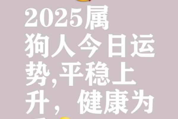 命里缺什么?属狗人的正月运势解析与建议 命里缺什么?属狗人的正月运势解析与建议