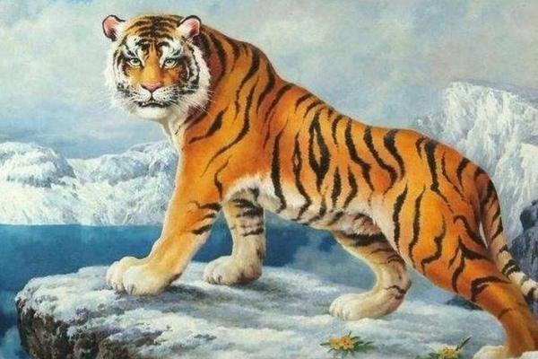 山下虎命，冲击命运的勇者之路