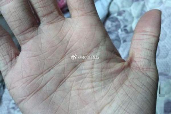 手上有斗的男人：命运的奥秘与人生的探索