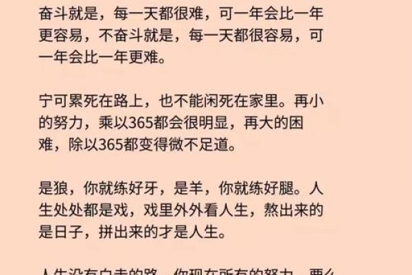拼了命的努力：追逐梦想的勇气与坚持