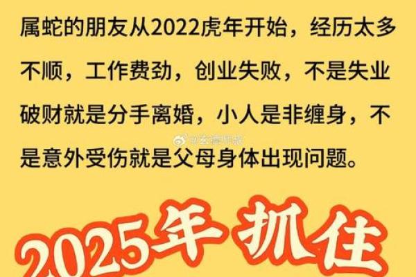 十月十九出生的属牛人：命运与性格的奇妙结合