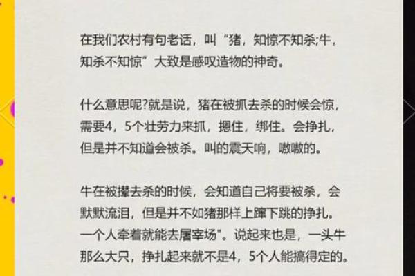 牛年断三命：命理与生命周期的神秘探讨