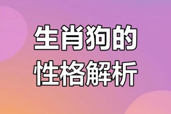 属狗47岁的人生运势与命理分析