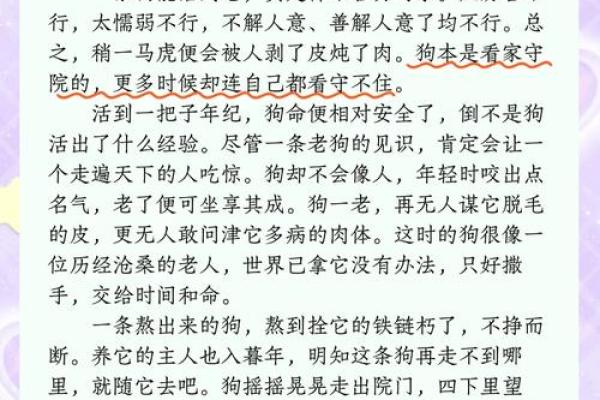 三十岁不结婚的狗，命运的另一种选择与思考
