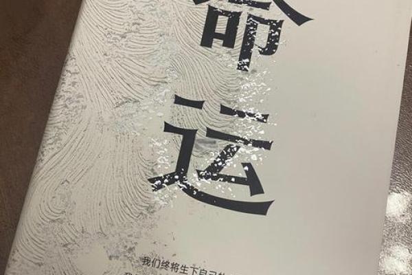 命运的交响曲：为何有些人无法踏上海南的工作之路