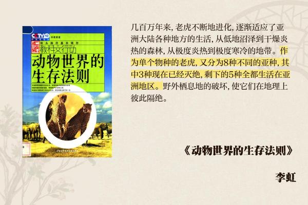 七八月出生的老虎，命运与性格的深度解析