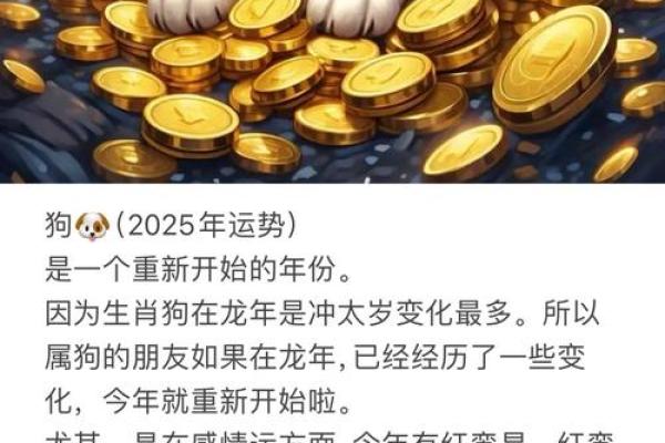 属狗2023年运势解析：揭开你的命运之门