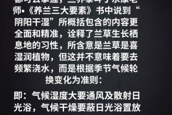什么是兰花命？探索这一命理中的美丽与智慧