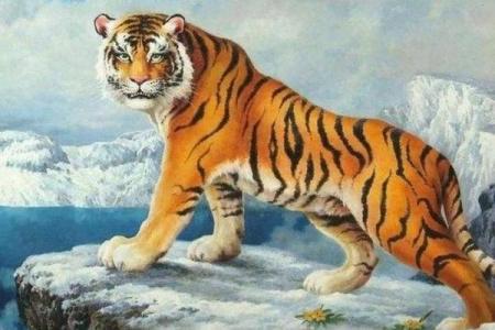 山下虎命，冲击命运的勇者之路