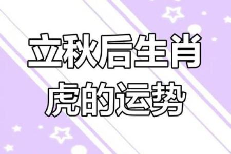 属虎女人的最佳命运：如何迎接精彩人生的每一天
