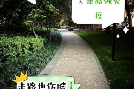 人上身长腿短的命运与人生启示