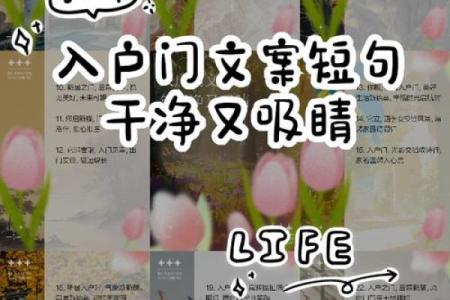 揭开女命四吉之命的神秘面纱，解析福运的秘密