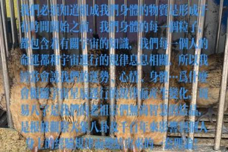 男命八字中的血刃象征与命运启示：揭秘其深层含义与影响