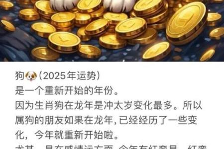 属狗2023年运势解析：揭开你的命运之门