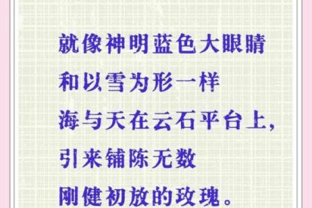什么是兰花命？探索这一命理中的美丽与智慧