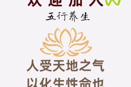 属猴五行属性与命理解析：揭秘猴年命人的命运之道