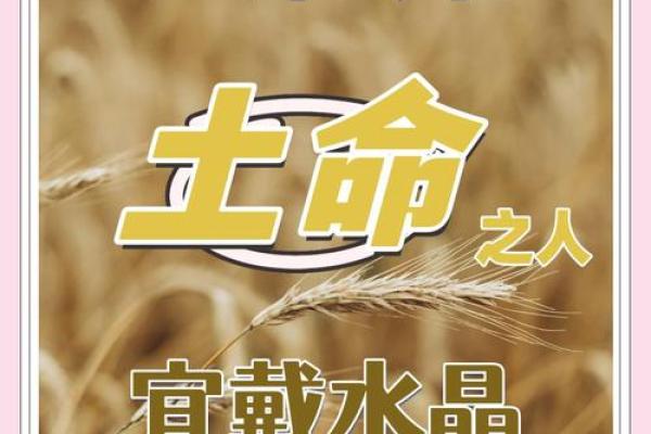 木命女人戴什么最旺土命,提升运势与魅力的秘籍 木命女人戴什么最旺土命,提升运势与魅力的秘籍