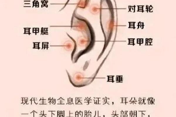 属蛇土命的佩戴之道：为你揭开最佳饰品的秘密