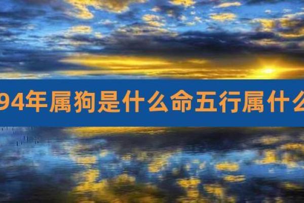 属狗人火命解析:火燥之性与忠诚品质的完美结合 属狗人火命解析:火燥之性与忠诚品质的完美结合