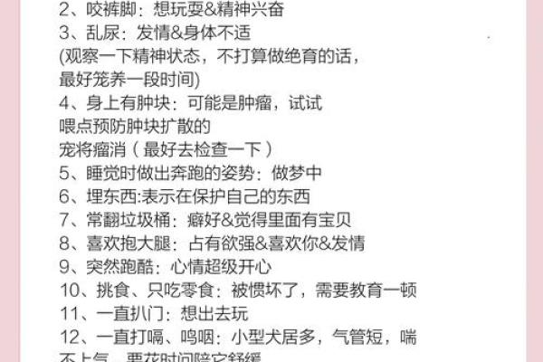 属狗人火命解析:火燥之性与忠诚品质的完美结合 属狗人火命解析:火燥之性与忠诚品质的完美结合