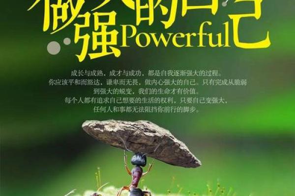 命运的真相：从八字到性格，揭示人生的成败之道