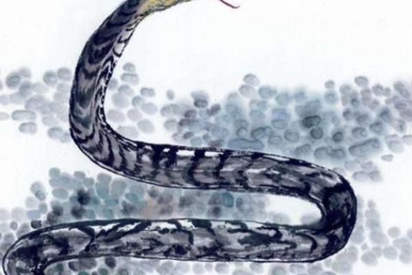 女人1994年属什么命?揭开命理之谜的神秘面纱 女人1994年属什么命?揭开命理之谜的神秘面纱