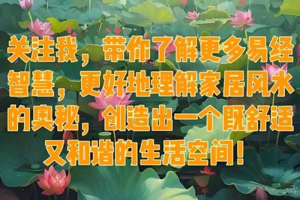 内风命失条：探寻命理中的风水密码与人生智慧