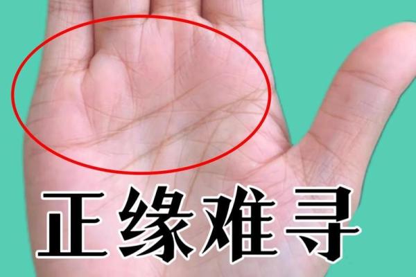 揭示手相之谜:哪些手相特征预示你能拥有明星命? 揭示手相之谜:哪些手相特征预示你能拥有明星命?