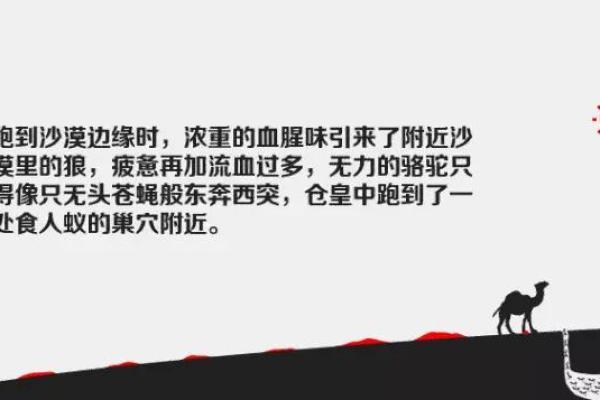 女人倒霉的命：生活中的典型不幸与反思