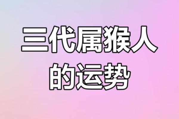 属猴6点出生命运解析：灵活聪慧，具备无限潜能